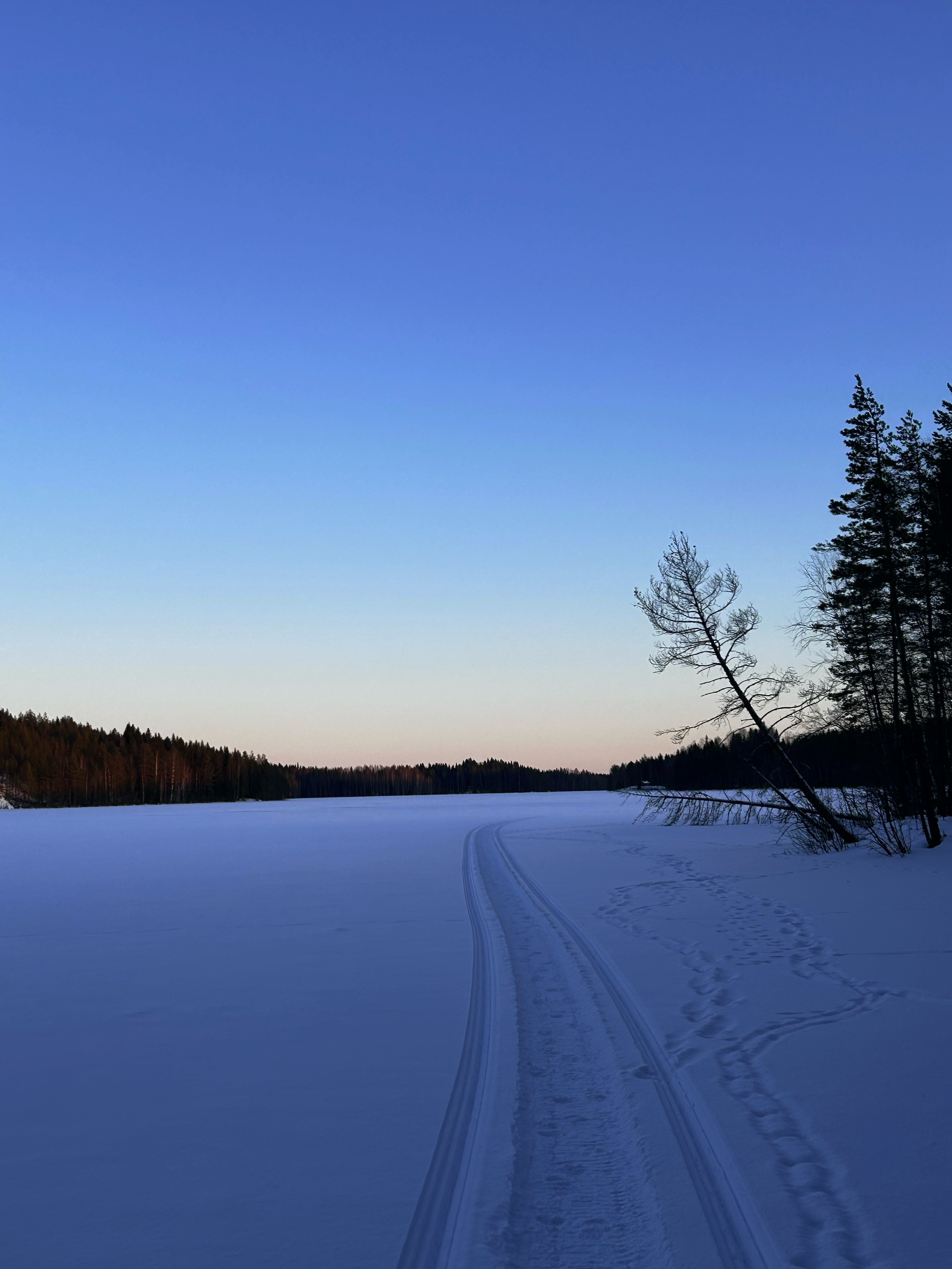 Ski Snow